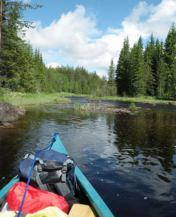 the canoe trip sweden